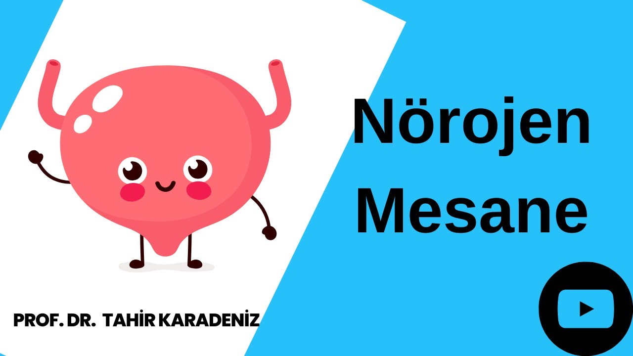 Her Nörojen Mesane Gerçek Nörojen Mesane Değildir! I Prof. Dr. Tahir Karadeniz