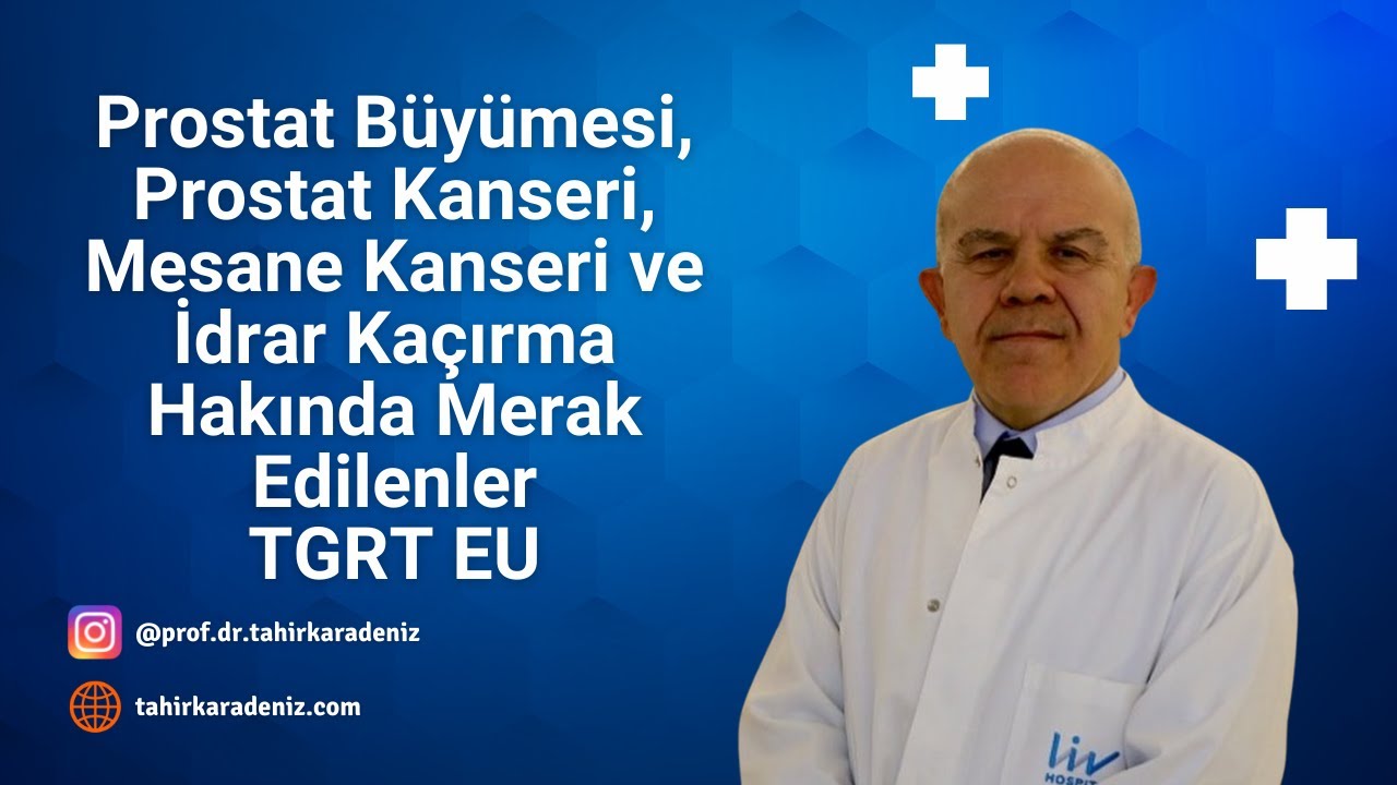 Prostat Büyümesi, Prostat Kanseri, Mesane Kanseri ve İdrar Kaçırma Hakında Merak Edilenler